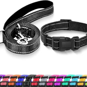 Reflective Safety Dog Collar