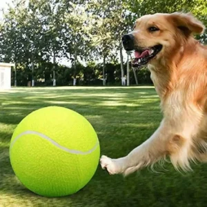 1pc 9.5-Inch Summer Durable Bouncy Dog Tennis Ball, Suitable For Training Small To Medium Dogs, Outdoor Sport Pet Toy To Encoura