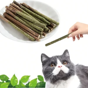 Maiguangta Natural Silvervine Catnip Chew Sticks (12 PC) - Edible Dental Chews For Cats &Amp; Kittens, Teething Relief Teeth Cleaning Toys