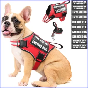 Service Dog Vest Harness and Leash Set with 10 Patches, No Pull Adjustable Reflective Dog Harness with Soft Padded Handle for Training, Fits S-XXL Dogs (Red M)